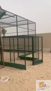 شبوك اغنام في الرياض
