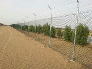 شبوك حماية حي الرمال الرياض